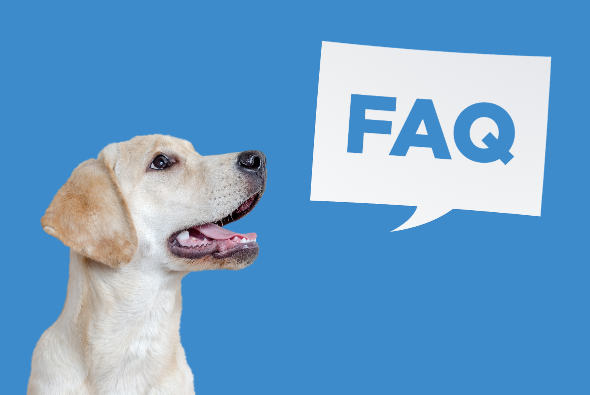 Pet Insurance: FAQs