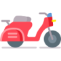 Moped Insurance