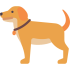 Affenpinscher